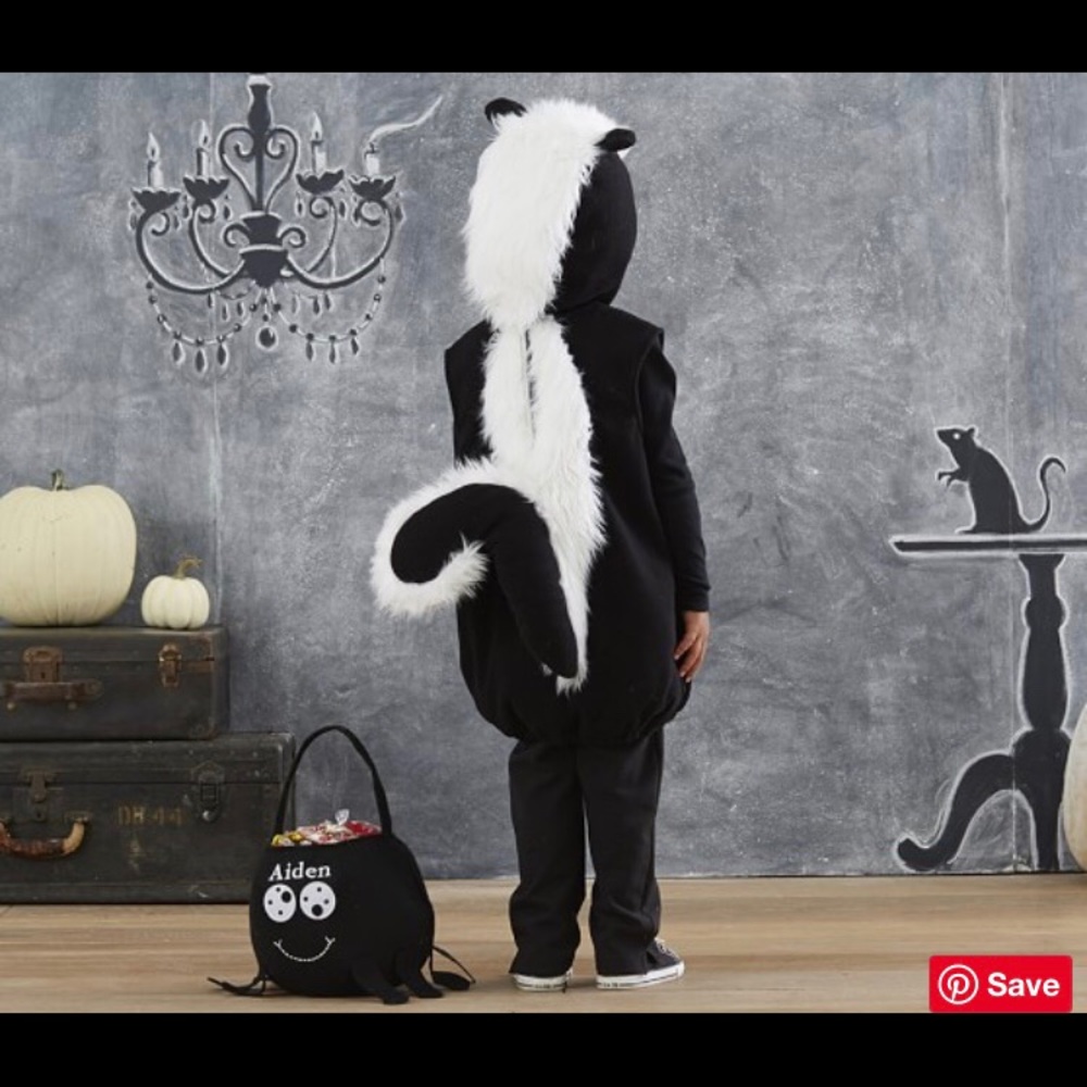 Pottery barn skunk costume size 4-6 kids